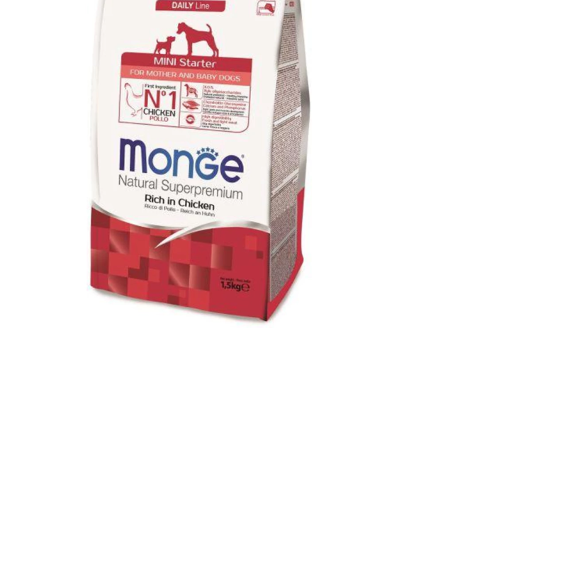 monge mini starter.png