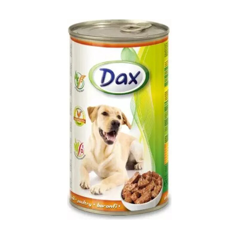 dax_dog_csirke.jpg