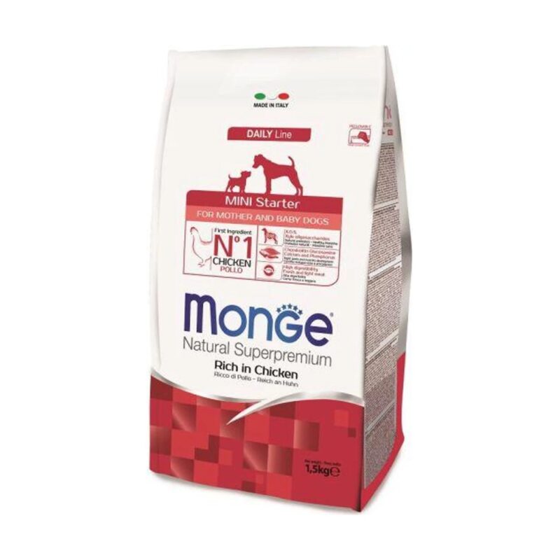 monge_mini_starter.jpg