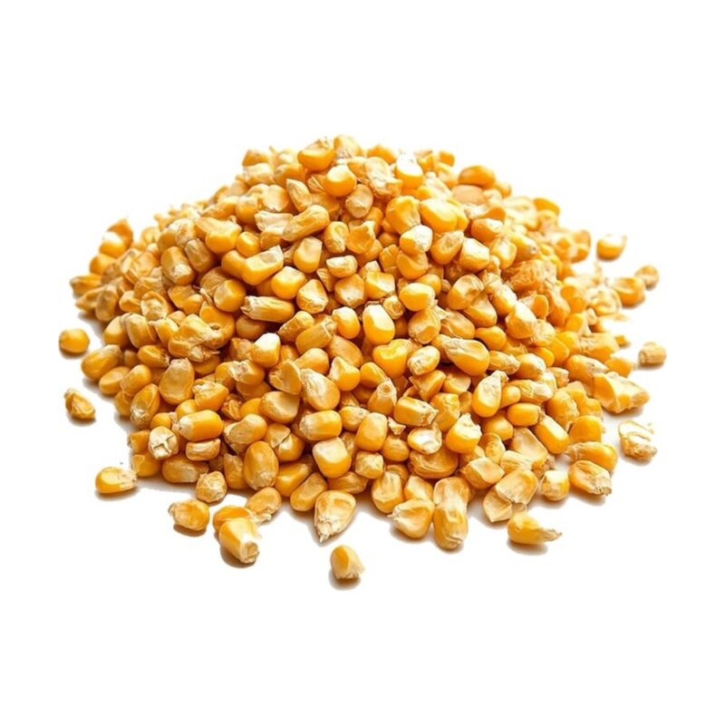 Kukorica